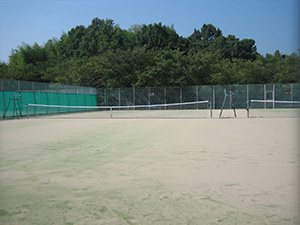 テニスコート（芝）